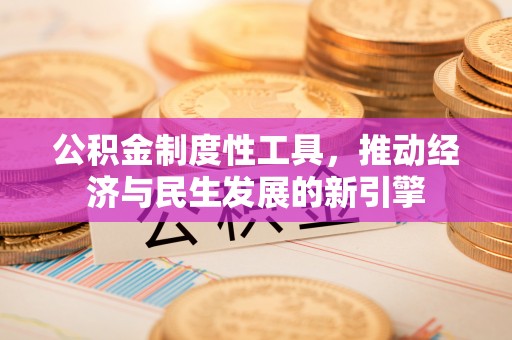 宁津公积金制度性工具，推动经济与民生发展的新引擎