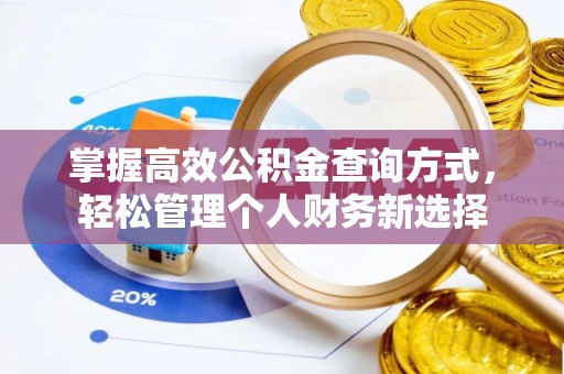 宁津掌握高效公积金查询方式，轻松管理个人财务新选择