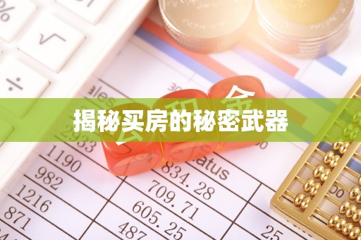 宁津揭秘买房的秘密武器