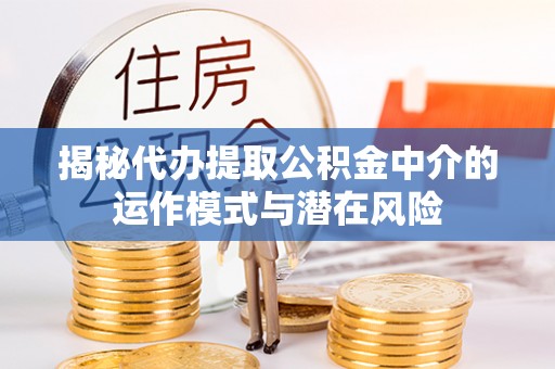 宁津揭秘代办提取公积金中介的运作模式与潜在风险